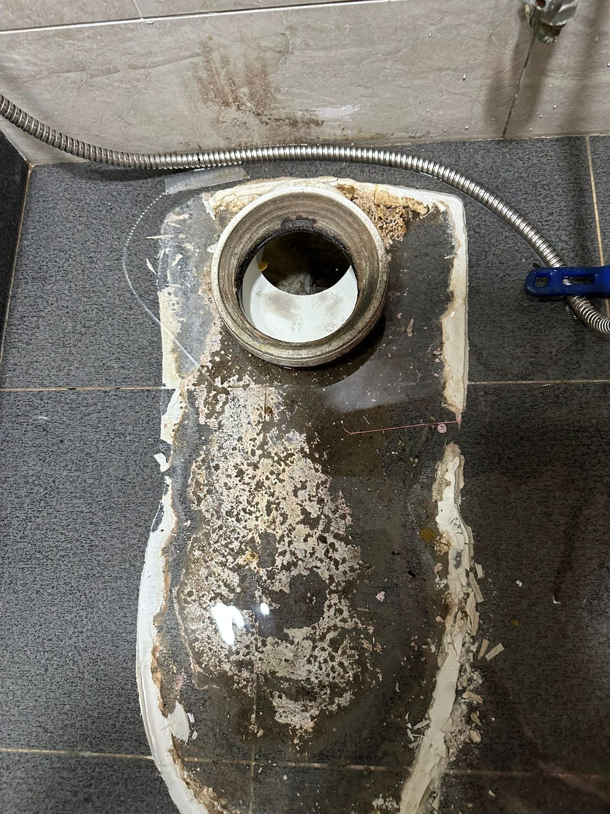 SG Licensed Plumber on the job in Ang Mo Kio
